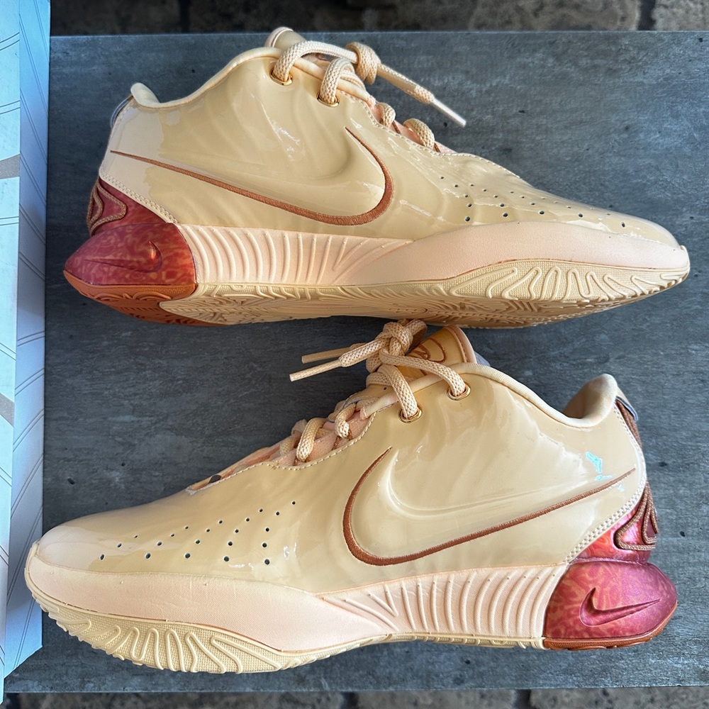 Nike Lebron 21 Melo Melo size 10